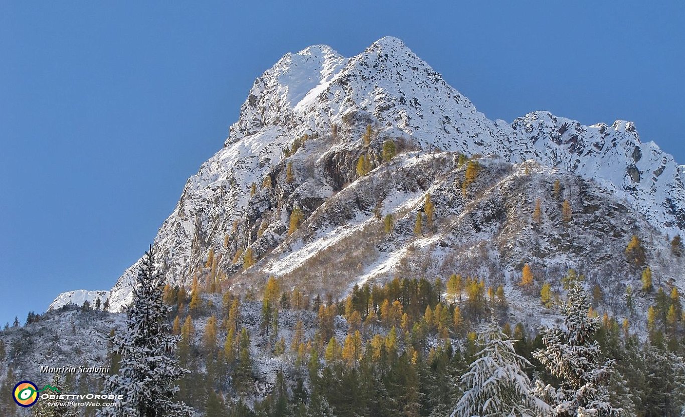 12 Anche i larici del Pizzo Torretta danno spettacolo....JPG